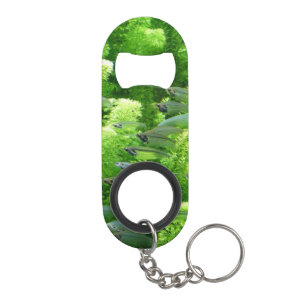 Shoal of Transparent Silver Fish