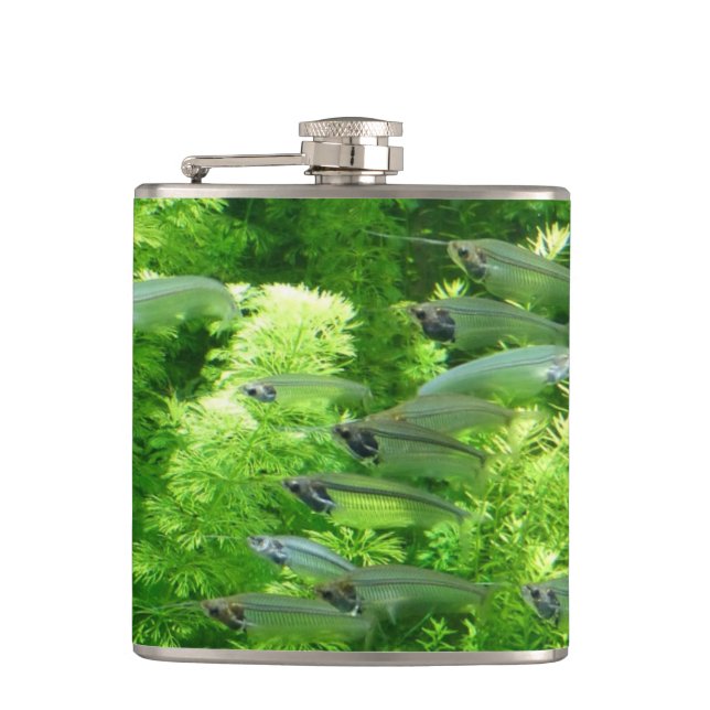 Shoal of Transparent Silver Fish Hip Flask (Front)