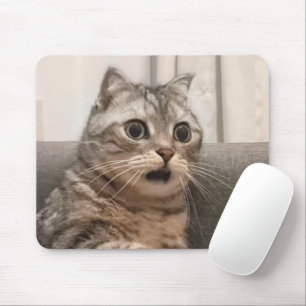 Shocked Cat Meme Mouse Pad