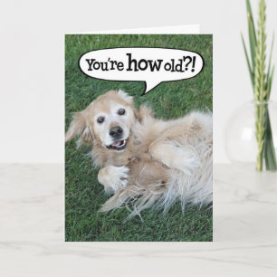 Shocked Golden Retriever Birthday Card
