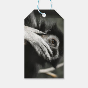 Shocked Monkey Custom Gift Tags