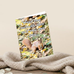 Shocked squirrel Birthday   Card