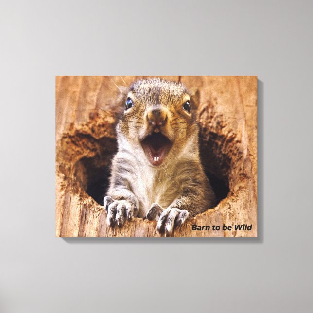Shocked Squirrel Canvas Print (Front)