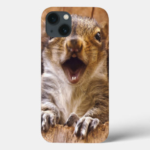 Shocked Squirrel iPhone 13 Case