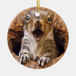 Shocked Squirrel Ceramic Tree Decoration