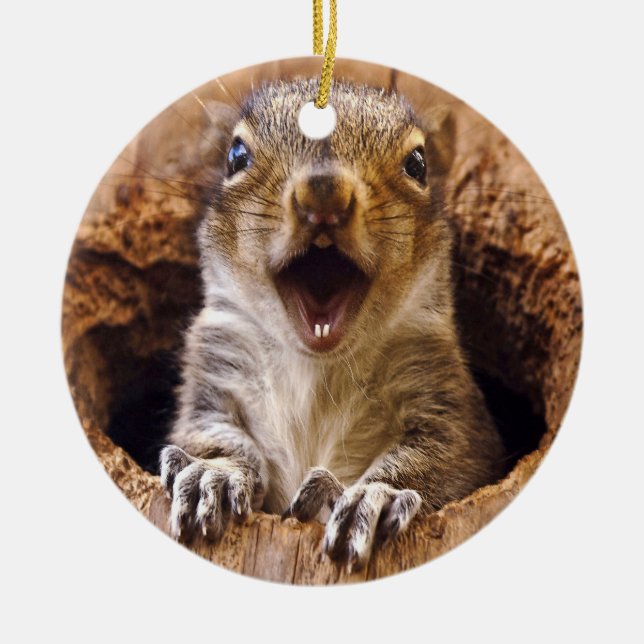 Shocked Squirrel Ceramic Tree Decoration (Front)