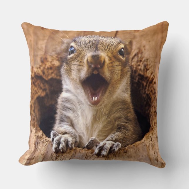 Shocked Squirrel Cushion (Front)
