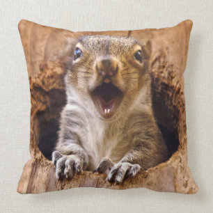 Shocked Squirrel Cushion