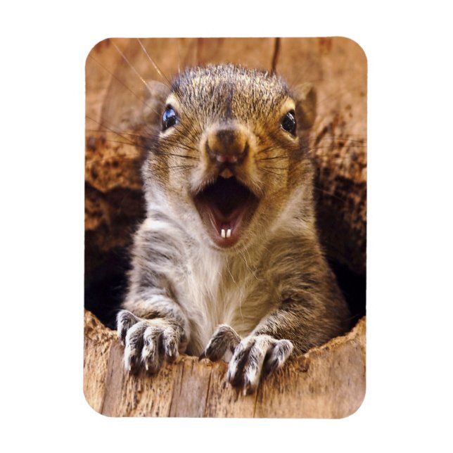 Shocked Squirrel Magnet (Vertical)