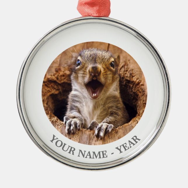 Shocked Squirrel Metal Ornament (Front)