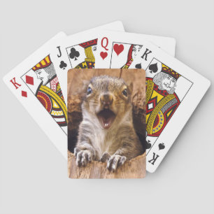 Shocked Squirrel Playing Cards