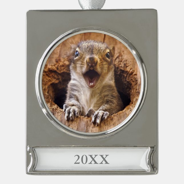 Shocked Squirrel Silver Plated Banner Ornament (Front)
