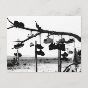 Shoe Store Postcard