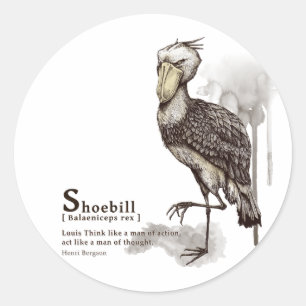shoebill - mocha classic round sticker
