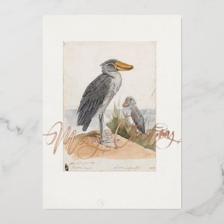 Shoebill Stork 1887 Print Zoologica Thank You Foil Holiday Card