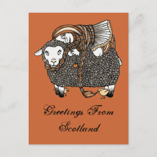 Shonaghs Sheep Postcard