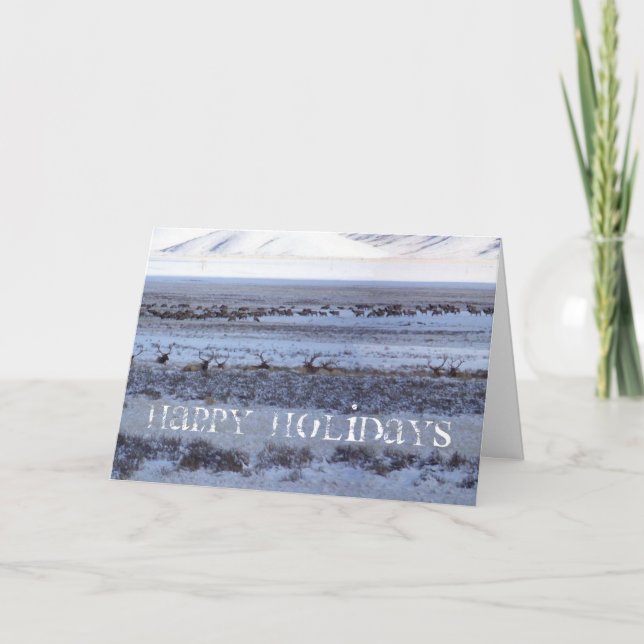 Shootin' the holiday card (Front)