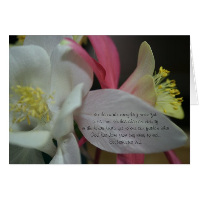 Shooting Star - Coumbine Bloom Ecclesiastes 3:11 (Front Horizontal)