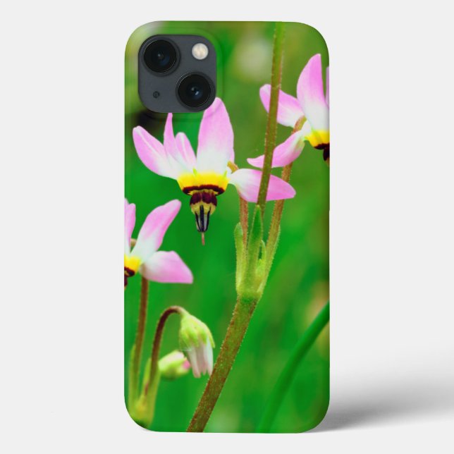 Shooting Star Wildflowers in Mission Trails Park Case-Mate iPhone Case (Back)