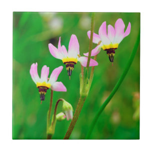 Shooting Star Wildflowers in Mission Trails Park Ceramic Tile