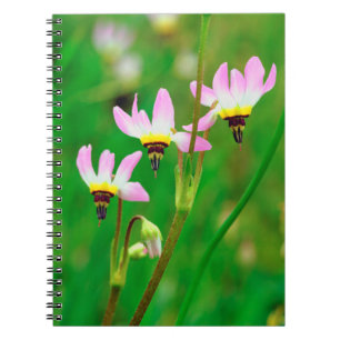 Shooting Star Wildflowers in Mission Trails Park Notebook