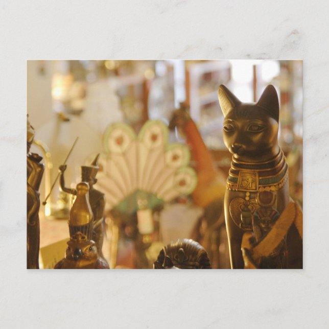 Shop Window with Cat Sculpture Postcard (Front)