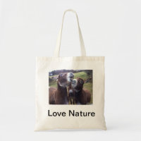 Shopping Bag Fold and use Tote Bag