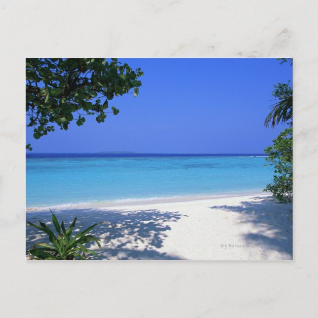 Shore 13 postcard (Front)