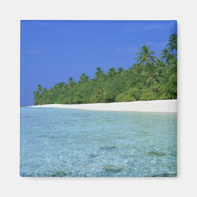 Shore 14 magnet (Front)