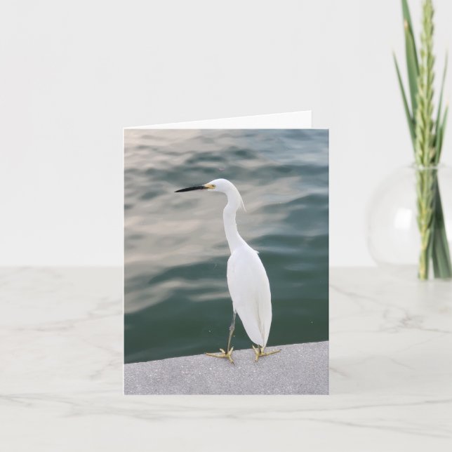 Shore bird at Siesta Key blank note card (Front)