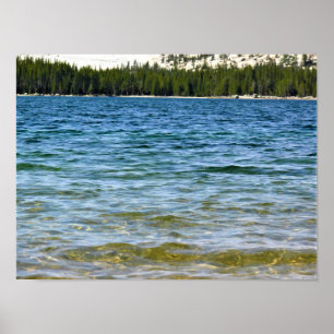 Shore of Tenaya Lake, Yosemite, CA Poster