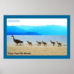 Shore Patrol Canada Geese Poster
