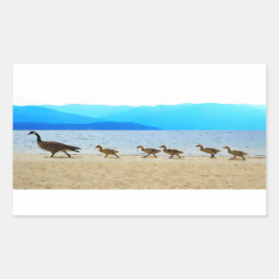 Shore Patrol Canada Geese Rectangular Sticker