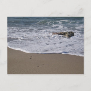 Shore Postcard