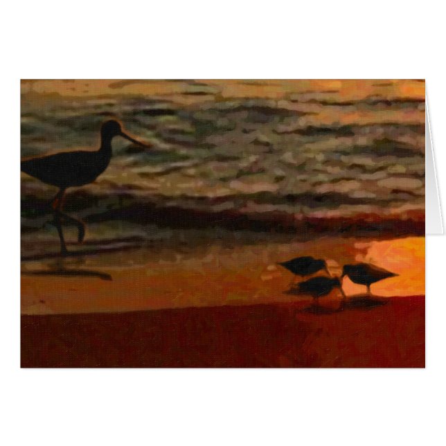 Shorebirds (Front Horizontal)
