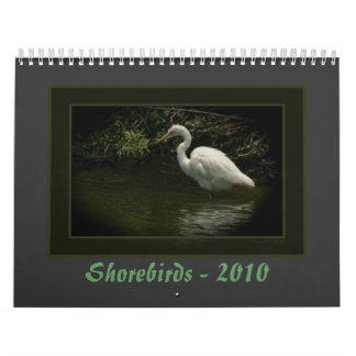 Shorebirds - 2010 calendar
