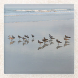 Shorebirds Glass Coaster
