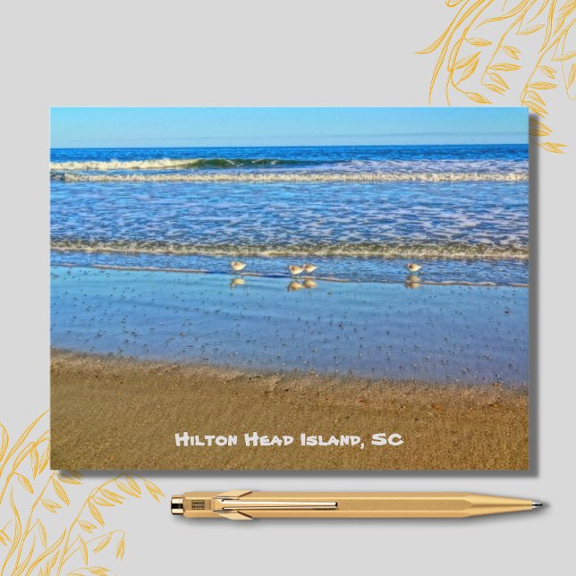 Shorebirds In The Surf! Hilton Head Island SC Postcard (Creator Uploaded)