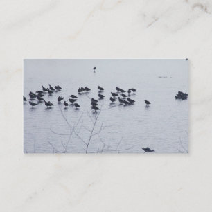 shorebirds on a lake business card