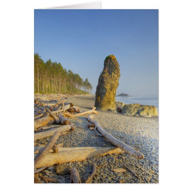 Shoreline and Seastacks, Ruby Beach, Olympic (Front)