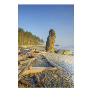 Shoreline and Seastacks, Ruby Beach, Olympic Photo Print