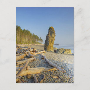 Shoreline and Seastacks, Ruby Beach, Olympic Postcard