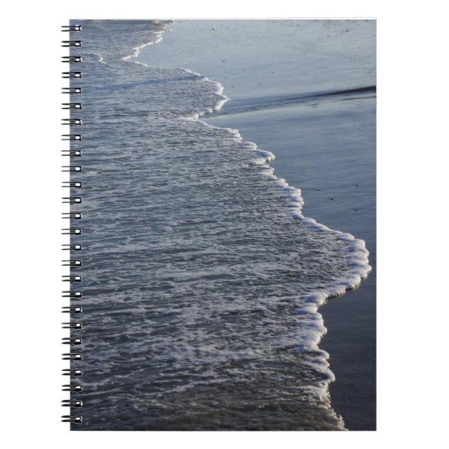 Shoreline Beauty Notebook (Front)