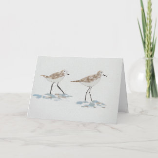 Shoreline Birds Illustration Card