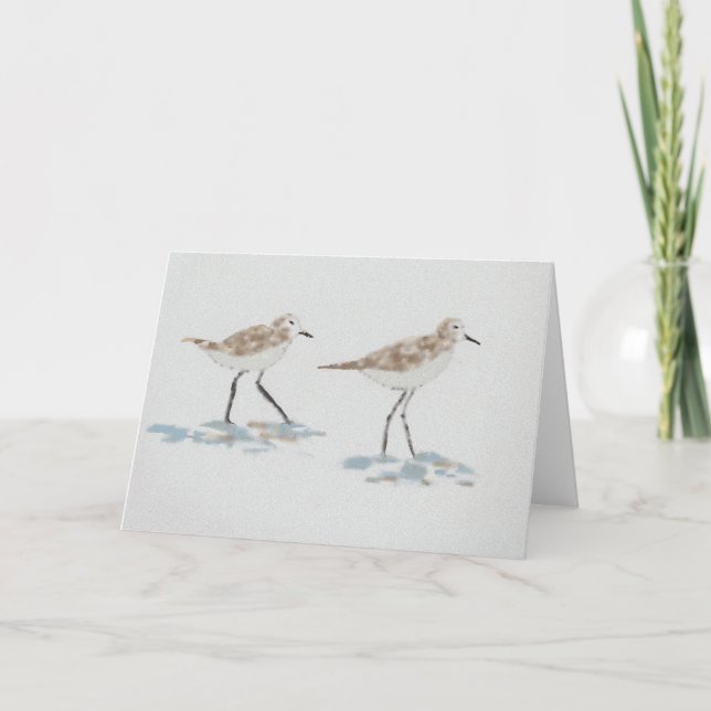 Shoreline Birds Illustration Card (Front)