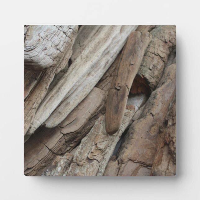 Shoreline Driftwood Photo Plaque (Front)