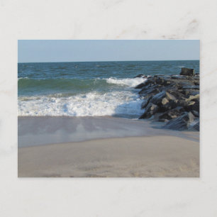 Shoreline Postcard
