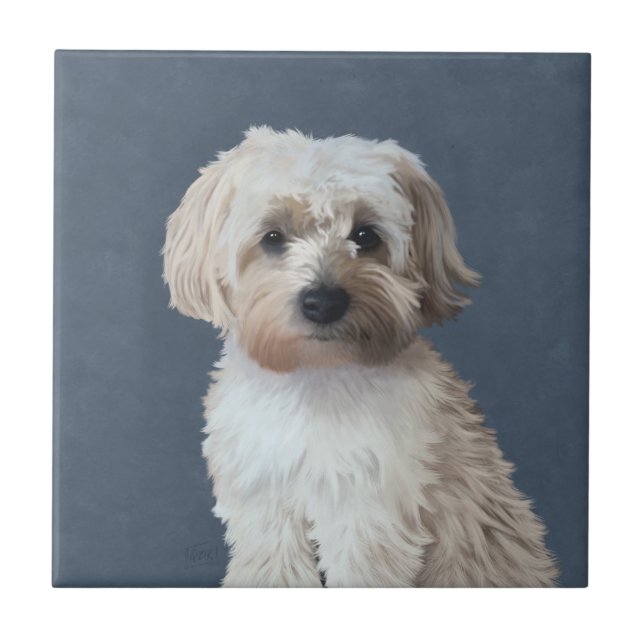 Shorkie dog pet portrait  ceramic tile (Front)