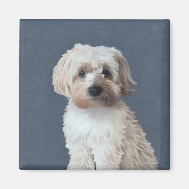 Shorkie dog pet portrait  magnet (Front)