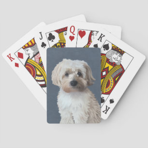 Shorkie dog pet portrait playing cards